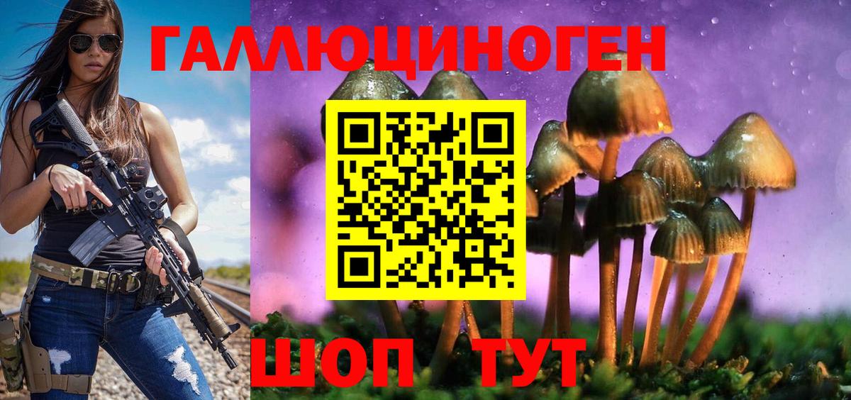 Псилоцибиновые грибы мухоморы Елизово